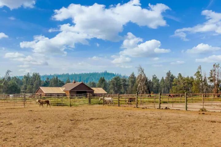 Mt. Bachelor & Sun River Get Away Бенд Екстериор снимка